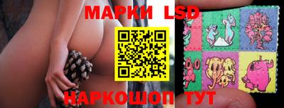твердый Будённовск