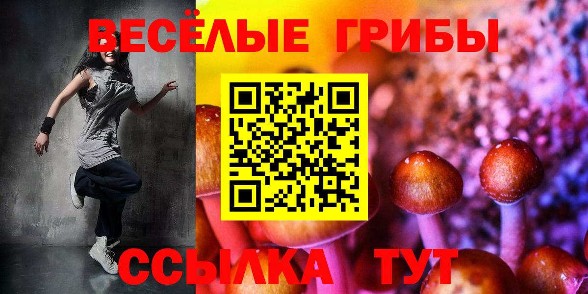 Галлюциногенные грибы прущие грибы  Псилоцибиновые грибы MAGIC MUSHROOMS  Вход с VPN  Пугачёв 